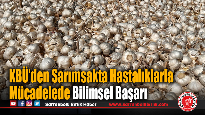 Karabük Üniversitesi’nden Sarımsakta Hastalıklarla Mücadelede Bilimsel Başarı