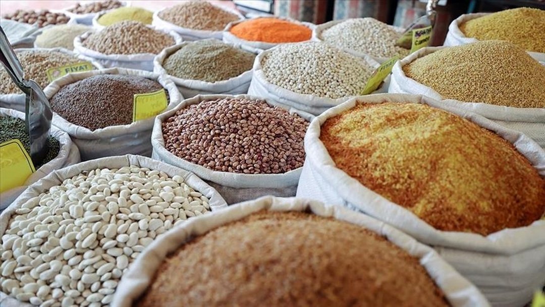 Güneydoğu Anadolu’nun hububat ihracatı 10 ayda 2,9 milyar dolara ulaştı