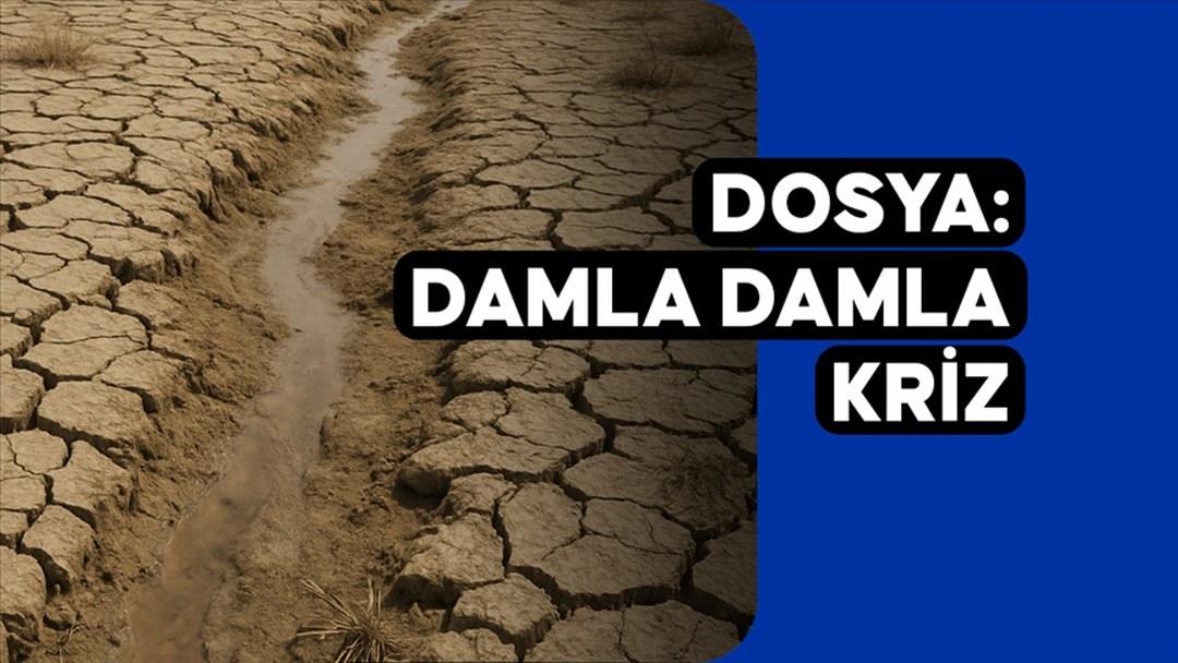 Damla damla kriz: İklim değişikliğiyle gelen “sinsi afet” kuraklık
