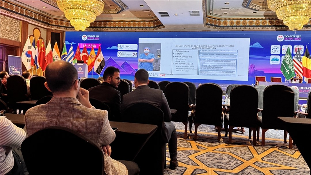 Türkiye’nin böbrek nakli tecrübesi Mısır’da düzenlenen kongrede paylaşıldı