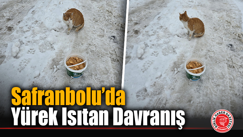 Soğuk Havada Sokak Hayvanlarını Unutmadı