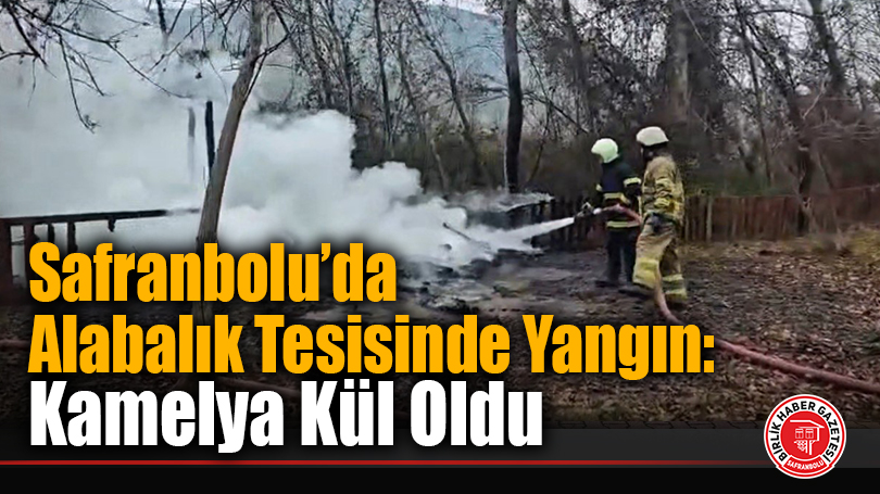 Safranbolu’da Alabalık Tesisinde Yangın: Kamelya Kül Oldu