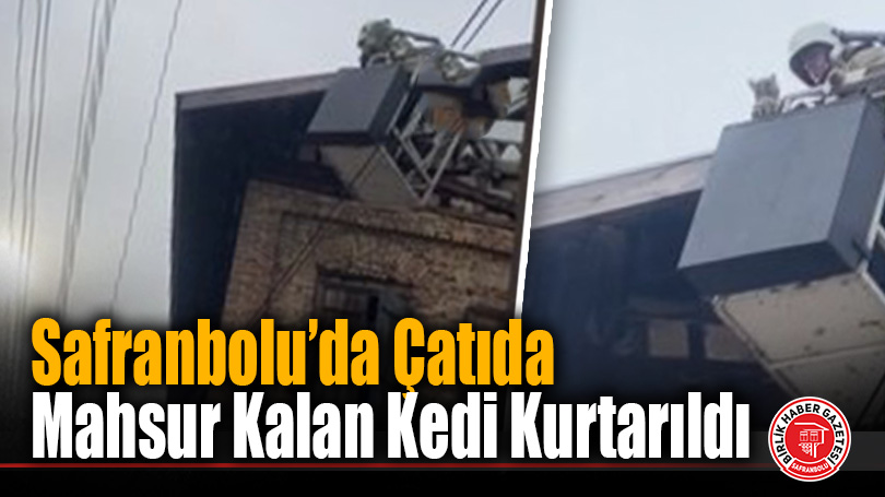 Safranbolu’da Çatıda Mahsur Kalan Kedi Kurtarıldı