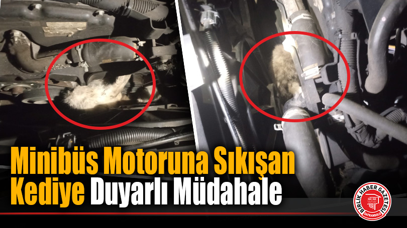 Minibüsün Motoruna Sıkışan Kedi, İtfaiyenin Çabasıyla Kurtarıldı