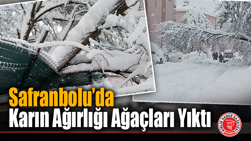 Safranbolu’da Karın Ağırlığı Ağaçları Yıktı