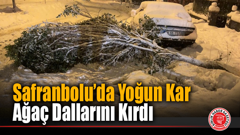 Safranbolu’da Kar Ağırlığı Ağaçları Kırdı: Ekipler Sahada