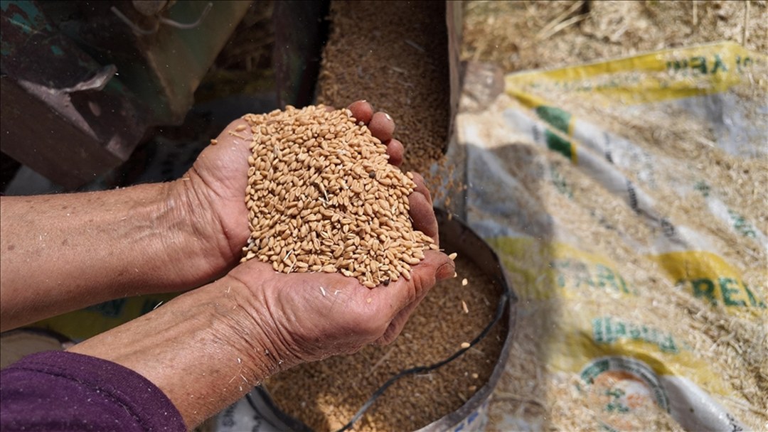 TMO’nun stokları gelecek hasat dönemine kadar Türkiye’nin ihtiyaçlarını karşılayacak seviyede
