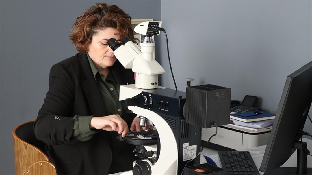 Akademisyenler grafitten grafen, organik atıklardan aktif karbon üretti