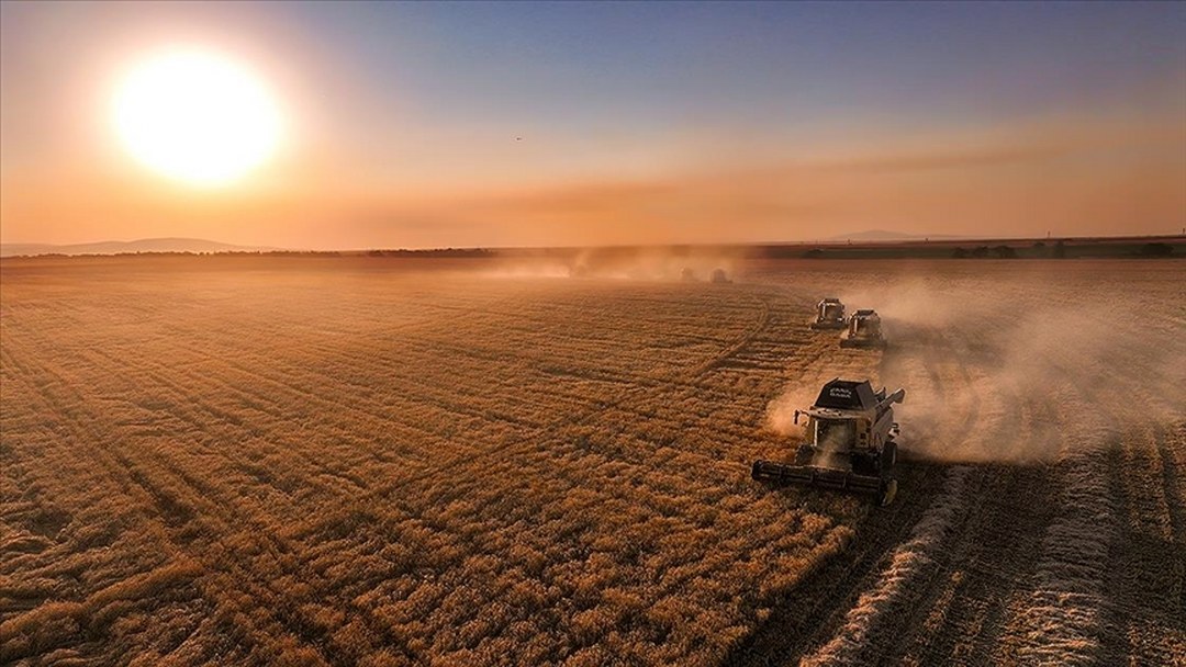 Üreticilere IPARD-III Programı kapsamında kasım döneminde 376,8 milyon lira ödendi