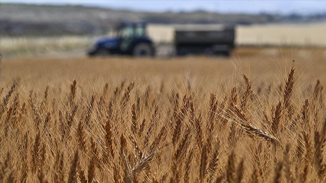 Tarımsal girdi fiyat endeksi ekimde yıllık yüzde 33,66, aylık yüzde 2,04 arttı