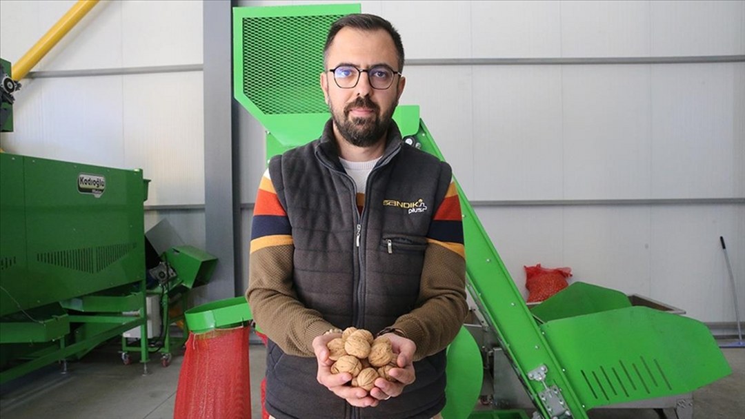 TKDK’den aldığı destekle kurduğu tesiste işlediği cevizleri 20 ile gönderiyor