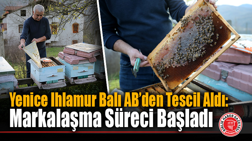 Yenice Ihlamur Balı AB’den Tescil Aldı: Markalaşma Süreci Başladı