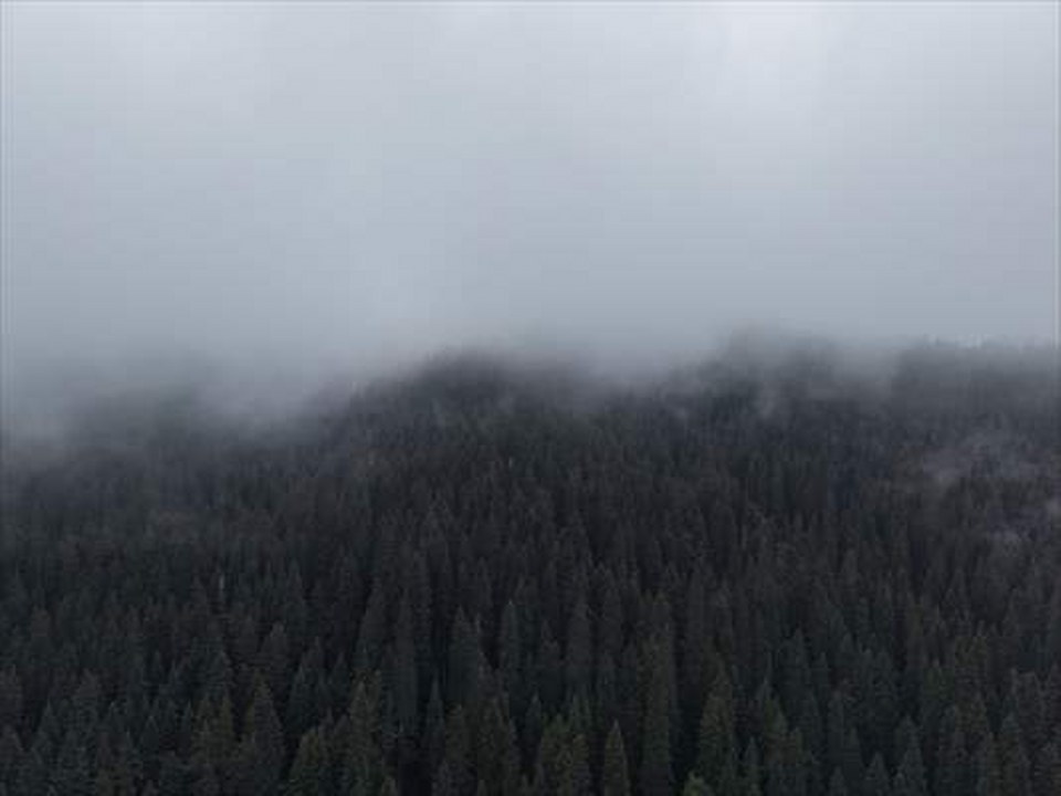 Ilgaz’da çam ağaçlarıyla bütünleşen sis dron ile görüntülendi
