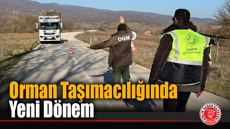 Orman Taşımacılığında Yeni Dönem
