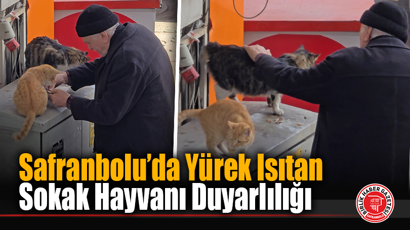Safranbolu’da Yürek Isıtan Sokak Hayvanı Duyarlılığı