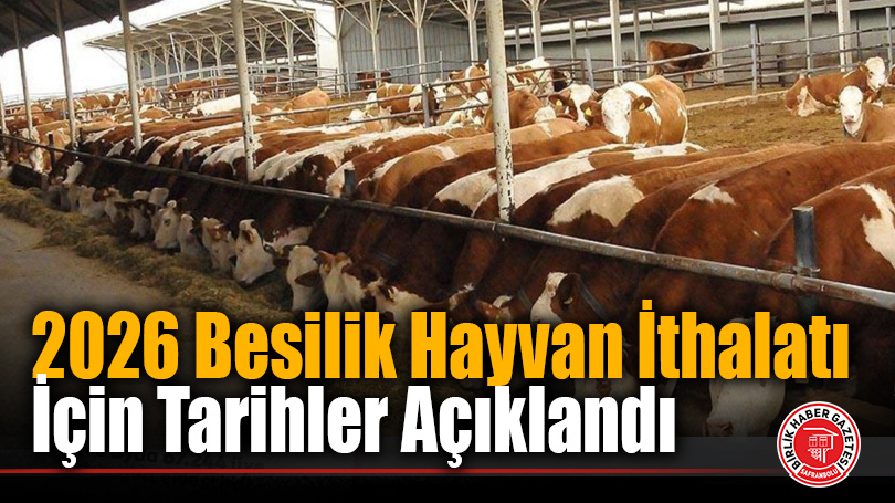 2026 Besilik Hayvan İthalatı Başvuruları Başlıyor