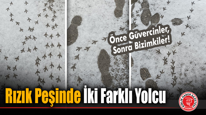Rızık Peşinde İki Farklı Yolcu
