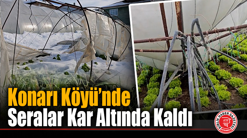 Konarı Köyü’nde Kar Afeti Seraları Yıktı