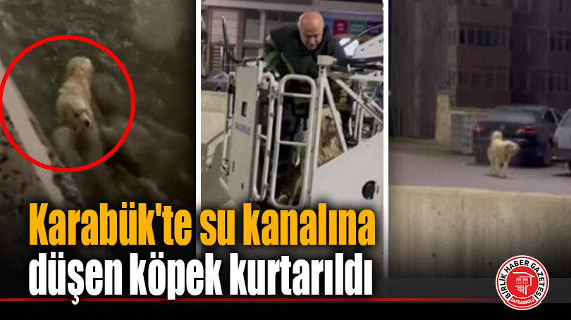 Karabük’te su kanalına düşen köpek kurtarıldı