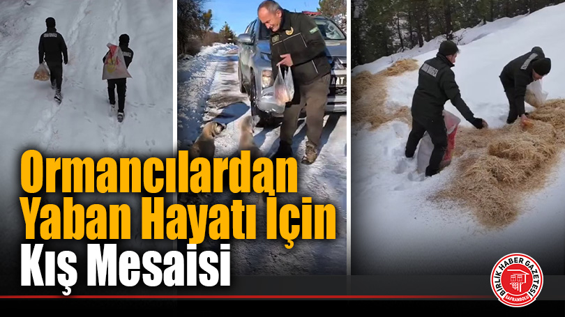Karabük’te Yaban Hayatı İçin Kış Mesaisi