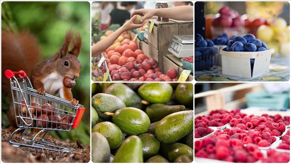 İzmir’deki 11 zincir marketten uygun fiyatlı mağaza projesi