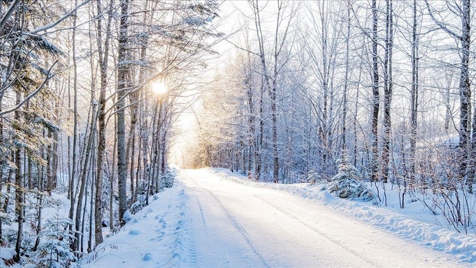 LASİD’den yarıyıl tatilinde güvenli sürüş için uyarı