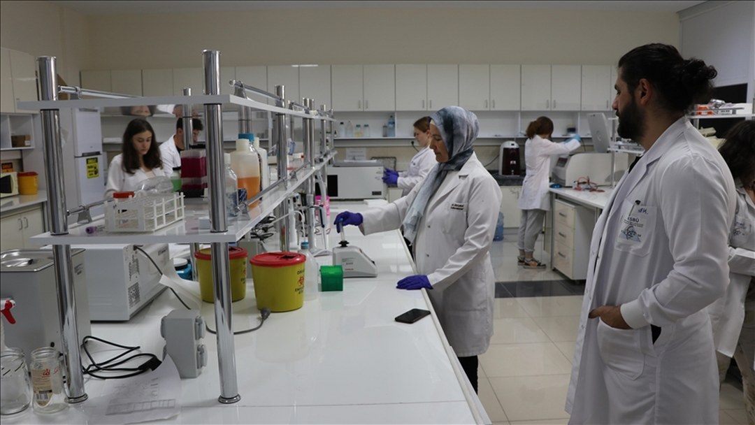 Akademisyenlerin geliştirdiği bor içerikli bileşenin kanser hücrelerine etkisine yönelik çalışmalar tamamlandı