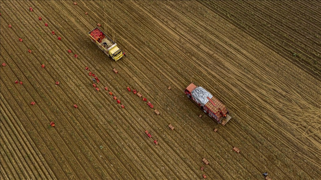 Tarım sezonunun ilk 2 ayında yağışlar yüzde 19 azaldı