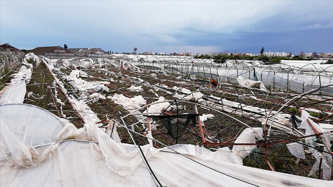 TARSİM tarafından 2026’te teminat altına alınacak ürün ve riskler belirlendi