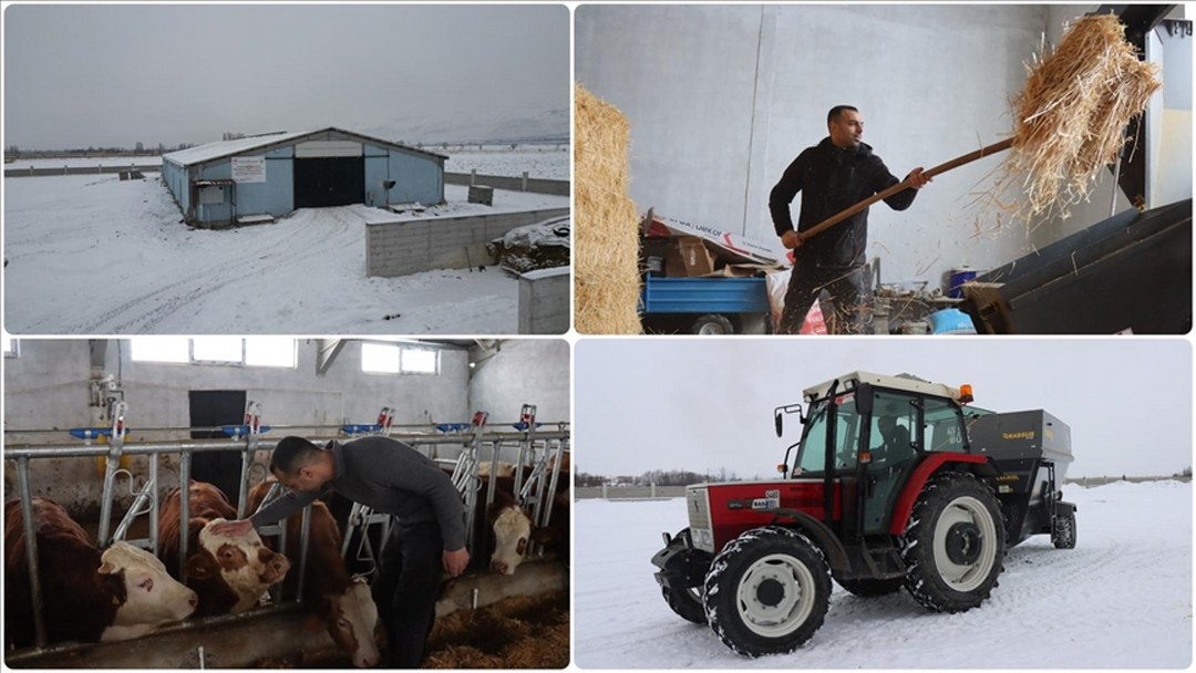 Erzincanlı genç girişimci devlet desteğiyle geleneksel hayvancılıktan modern üretime geçti