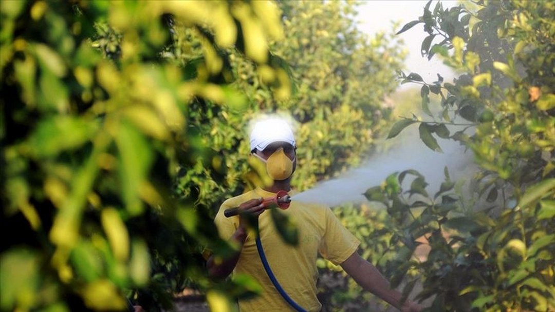 5 soruda tarımda “B-Reçete” uygulaması