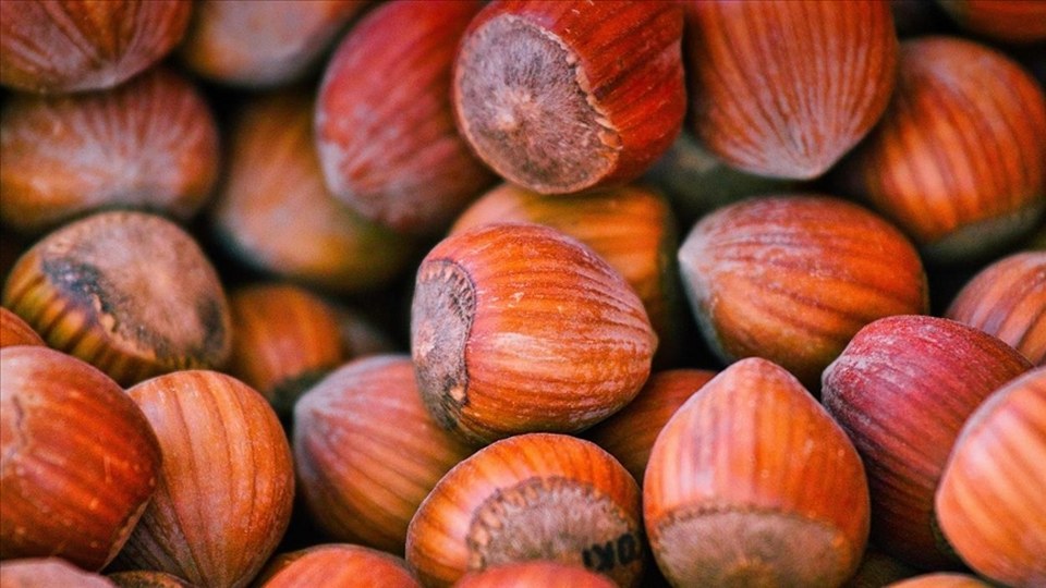 FİSKOBİRLİK Olağan Mali Genel Kurulu Giresun’da yapıldı