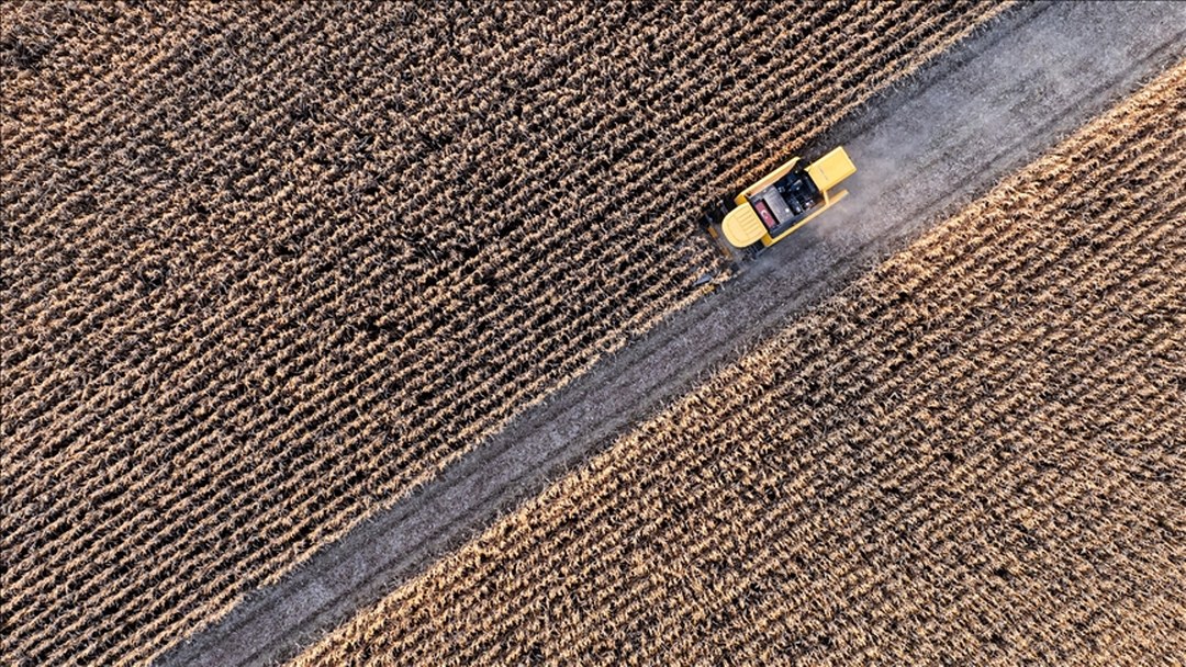 Tarımsal girdi fiyat endeksi Kasım 2025’te aylık yüzde 1,84, yıllık yüzde 34,24 arttı
