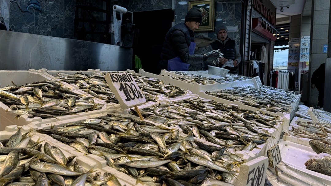 Trabzon’da balıkçı tezgahlarında hamsi ve istavrit ilgi görüyor