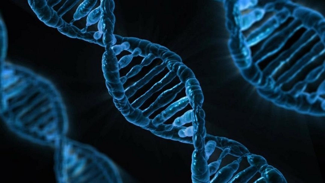 Yapay zeka modeli “AlphaGenome” yardımıyla DNA’nın bilinmeyenlerinin keşfedilmesi öngörülüyor