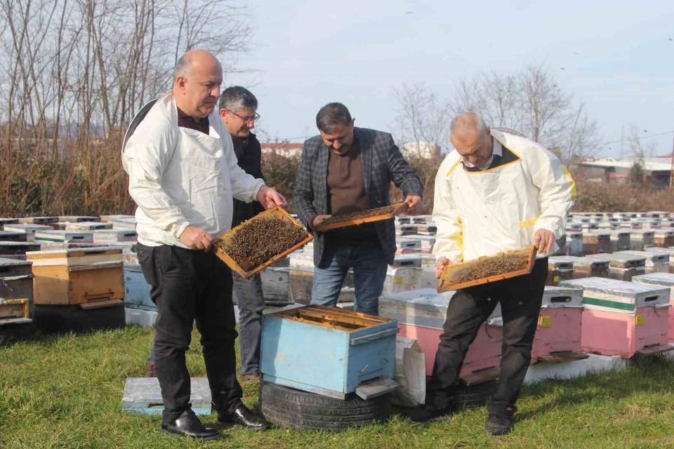Türkiye’de en fazla bal üretiminin yapıldığı Ordu’da arıcılar sezona hazırlanıyor