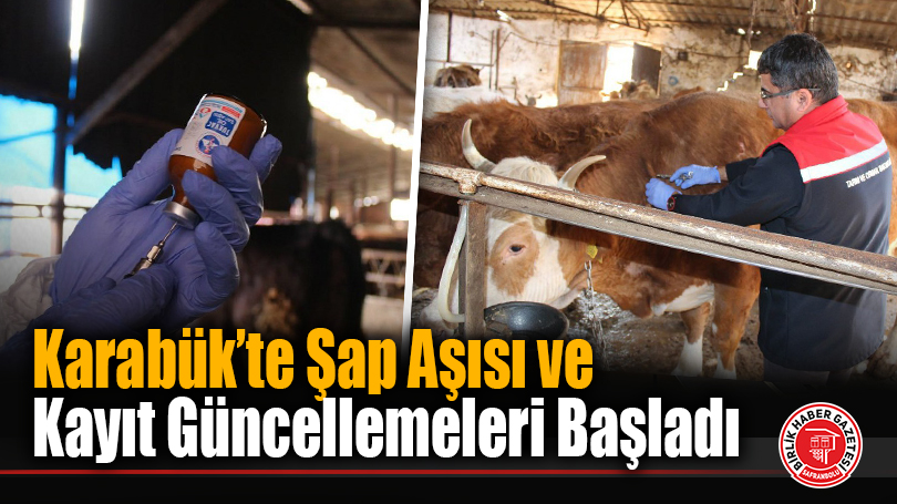 Karabük’te Şap Aşısı ve Kayıt Güncellemeleri Başladı