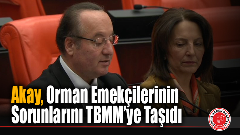 Akay, Orman Emekçilerinin Sorunlarını TBMM’ye Taşıdı