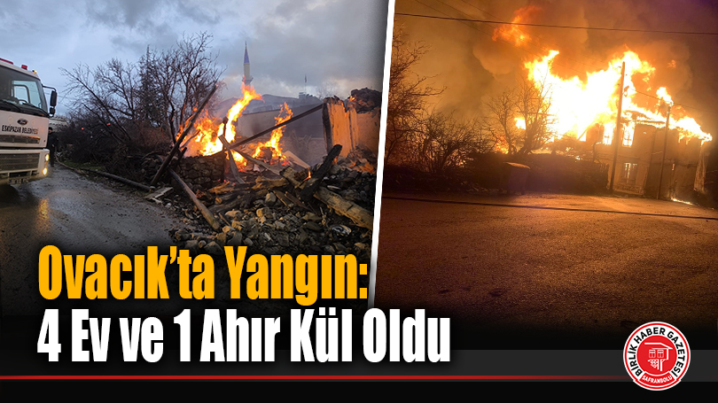 Ovacık’ta Yangın: 4 Ev ve 1 Ahır Kül Oldu