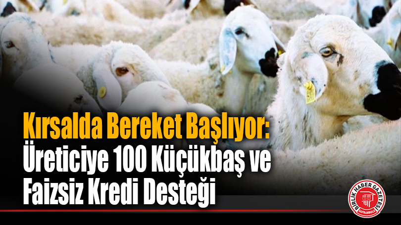 Hayvancılıkta Yeni Dönem: “Kırsalda Bereket” Projesiyle Üreticiye 100 Küçükbaş Desteği