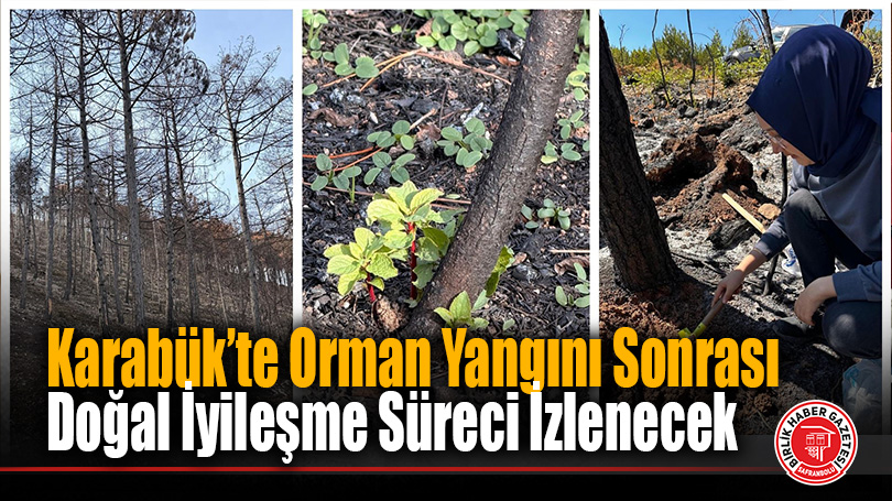 Karabük Üniversitesi’nden Orman Yangınları Sonrası Ekosistem Restorasyonu Projesi