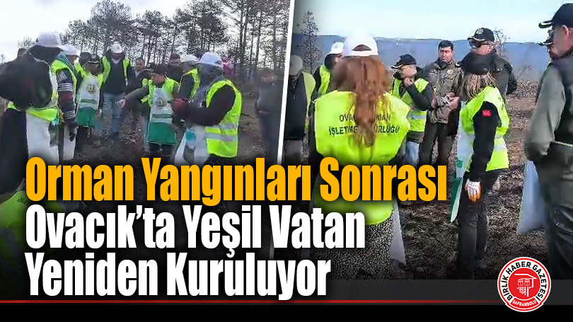 Ovacık Orman İşletme Müdürlüğü’nden Yeşil Vatan İçin Büyük Adım
