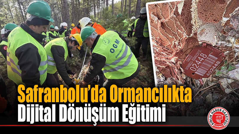 Safranbolu’da Ormancılıkta Dijital Dönüşüm Eğitimi