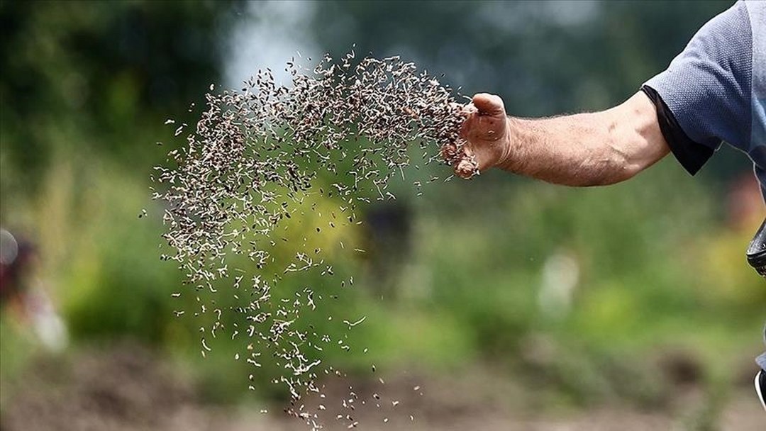 Tohum dağıtıcılarından üreticilere “kayıt dışı tohum” uyarısı