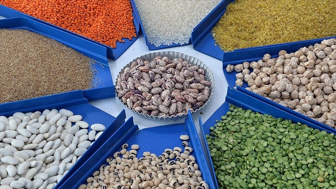 Tarım, gıda ve içecek sektöründen 2025’te 27,79 milyar dolarlık ihracat