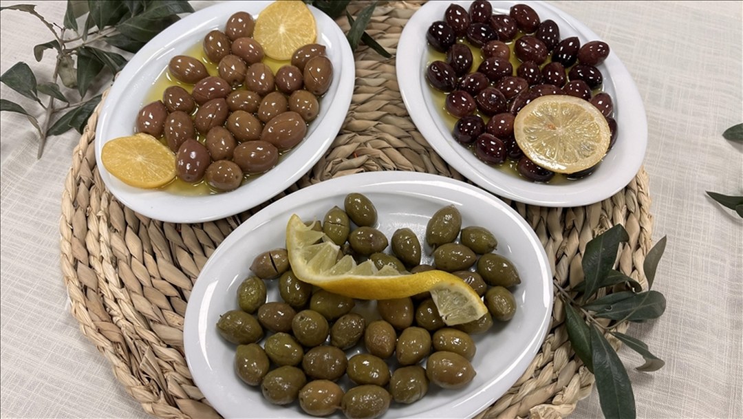 Coğrafi işaretli Milas zeytinyağının ardından Çekişke zeytini de Avrupa yolunda