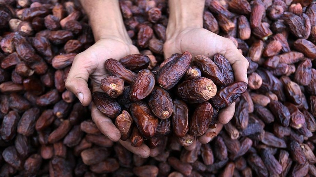 Ramazanın yıldızı hurma için 5 yılda yaklaşık 279 bin ton ithalat