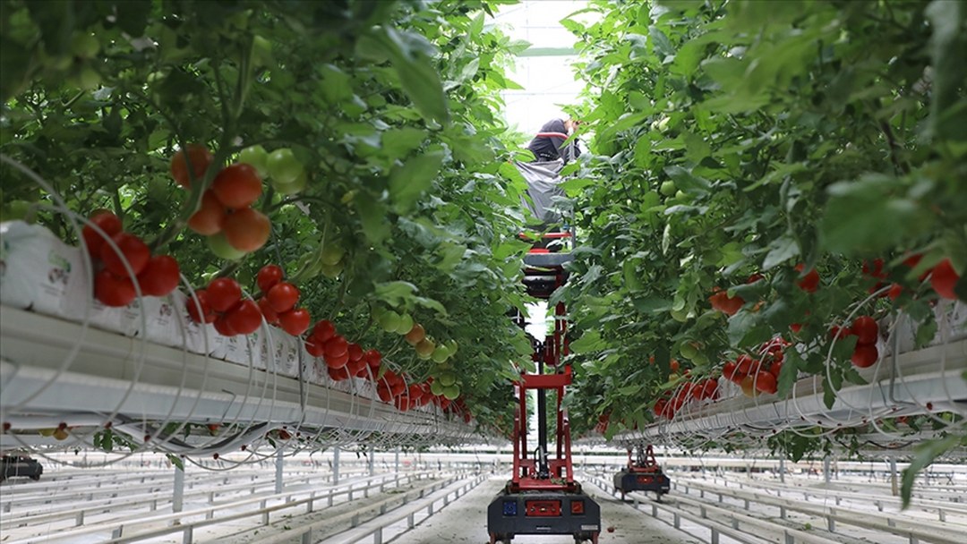 IPARD-III kapsamında 214 projeye 1,7 milyar lira hibe verilecek