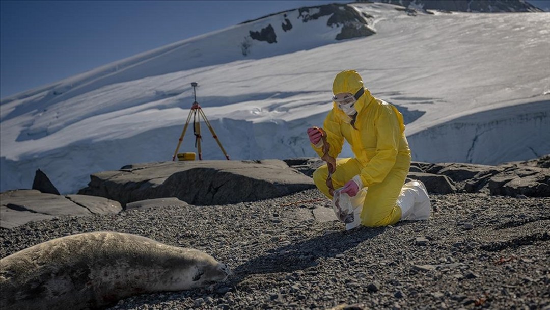 Türk bilim insanları Antarktika’daki araştırmalarıyla sağlık ve tarıma ışık tutuyor