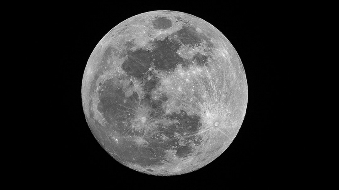 WSJ: Elon Musk’ın SpaceX şirketi, Ay yolculuğuna öncelik vermek için Mars görevini erteledi